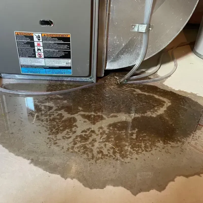 Appliance Leak Cleanup in Golconda, IL